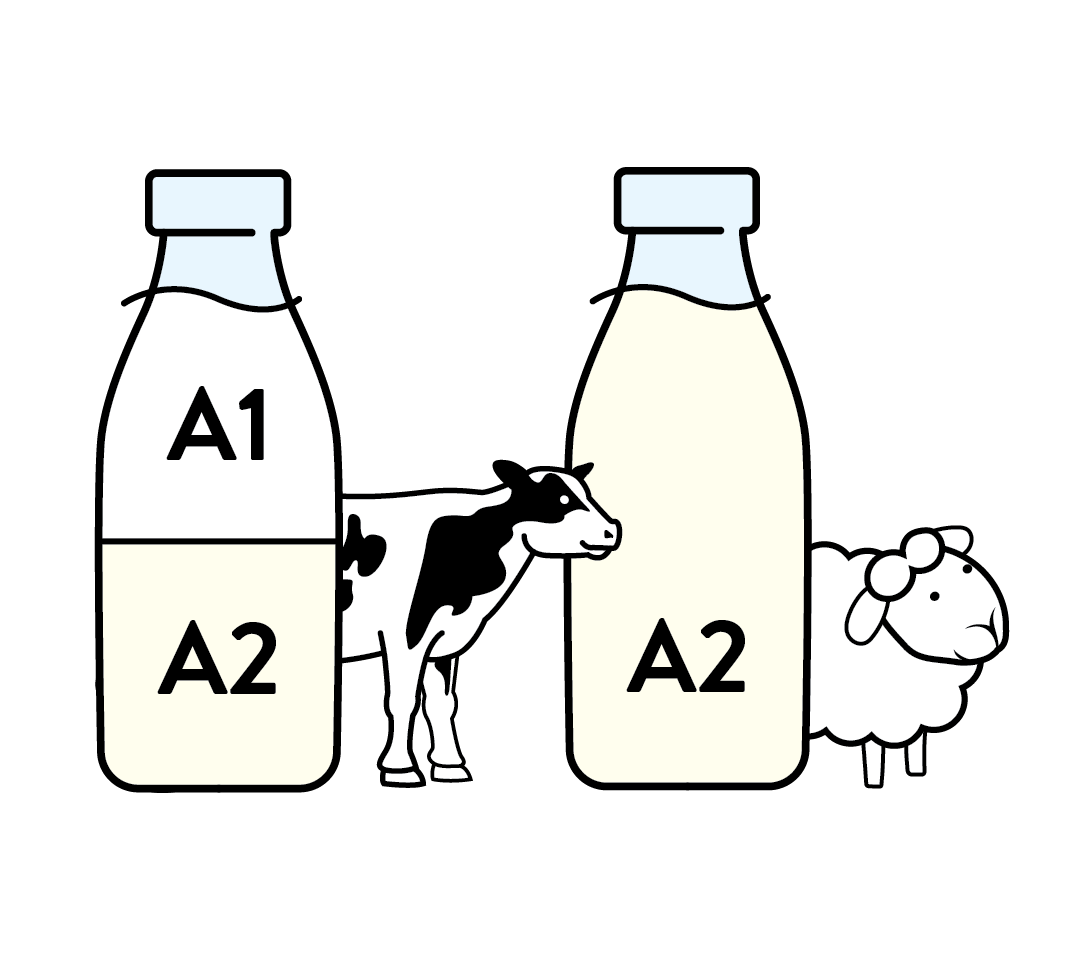 Naturally A2 type milk