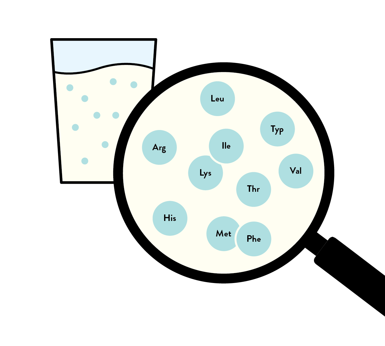 Sheep Milk is a complete protein source